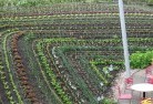 Yelta VICpermaculture-5.jpg; ?>